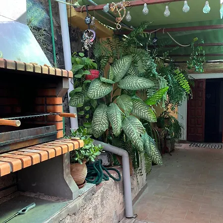 Twin At Lila Puerto de la Cruz