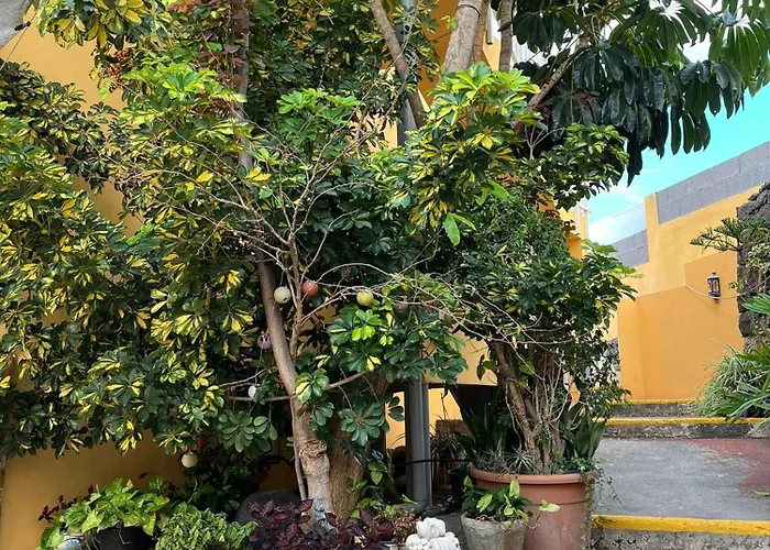 Twin At Lila פוארטו דה לה קרוז