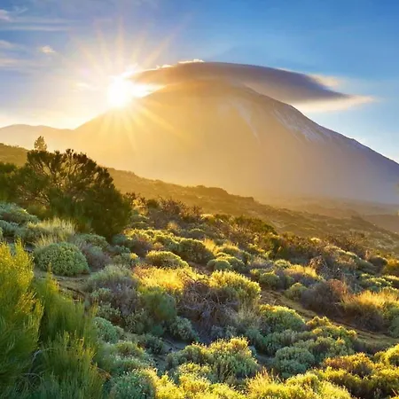 Twin At Lila Penzion *