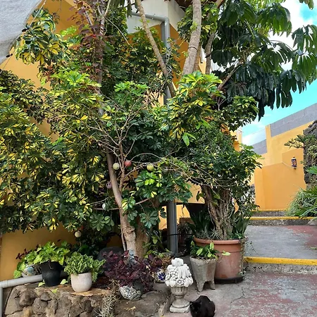 Twin At Lila Puerto de la Cruz (Tenerife)