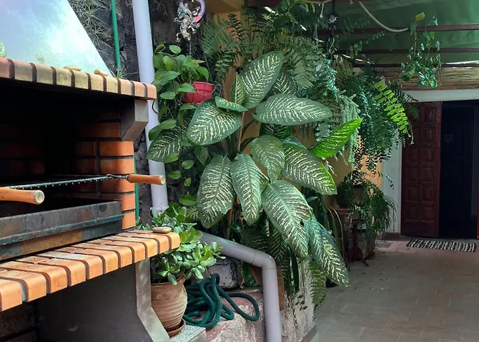 Twin At Lila 拉克鲁斯